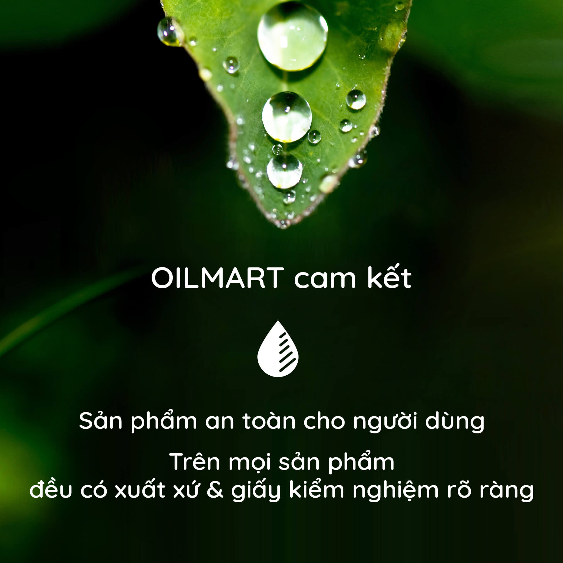 Tinh Dầu Thiên Nhiên Sả Chanh Oilmart Lemongrass Essential Oil