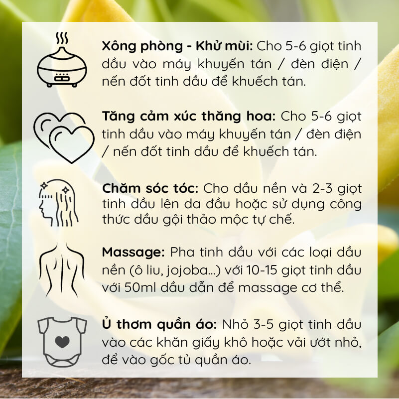 Tinh Dầu Thiên Nhiên Ngọc Lan Tây Oilmart Ylang Ylang Essential Oil