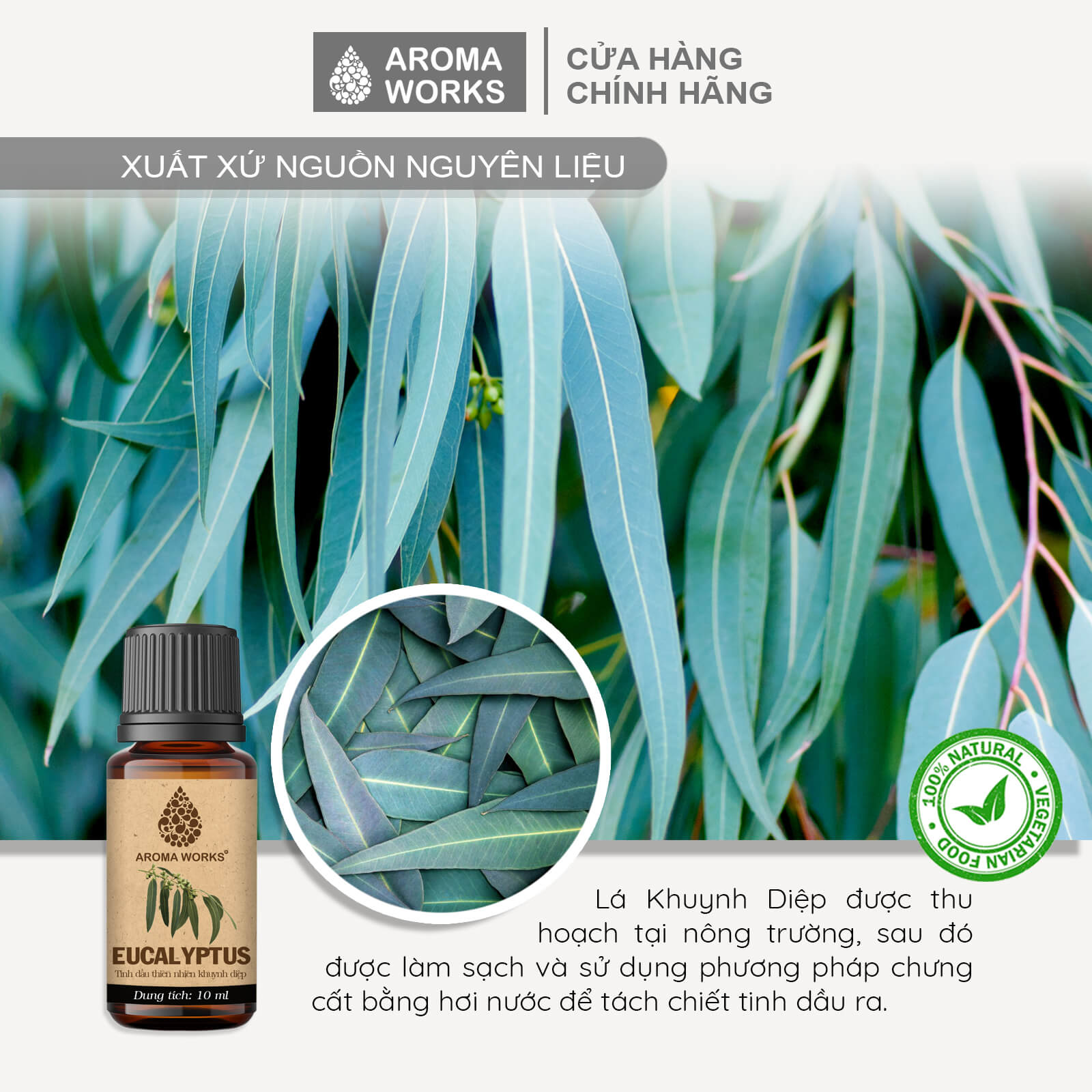 Tinh Dầu Khuynh Diệp Xông Phòng, Khử Mùi, Thanh Lọc Không Khí, Đuổi Muỗi, Giải Cảm Aroma Works Eucalyptus