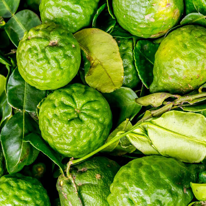 Tinh Dầu Thiên Nhiên Cam Hương Nomad Bergamot Essential Oil