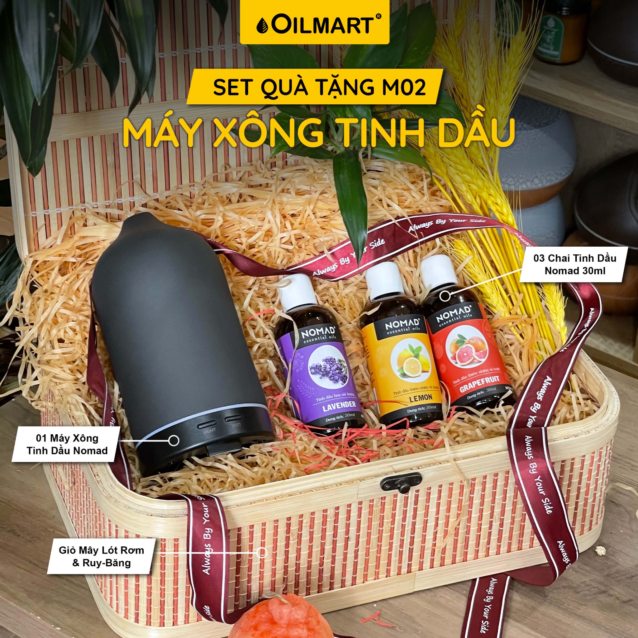 Set Quà Tặng Mừng Sinh Nhật, Khai Trương, Tân Gia, Giáng Sinh, Lễ Tình Nhân, Ngày Của Mẹ, Ngày Của Ba, Ngày Nhà Giáo, 8/3, 20/10