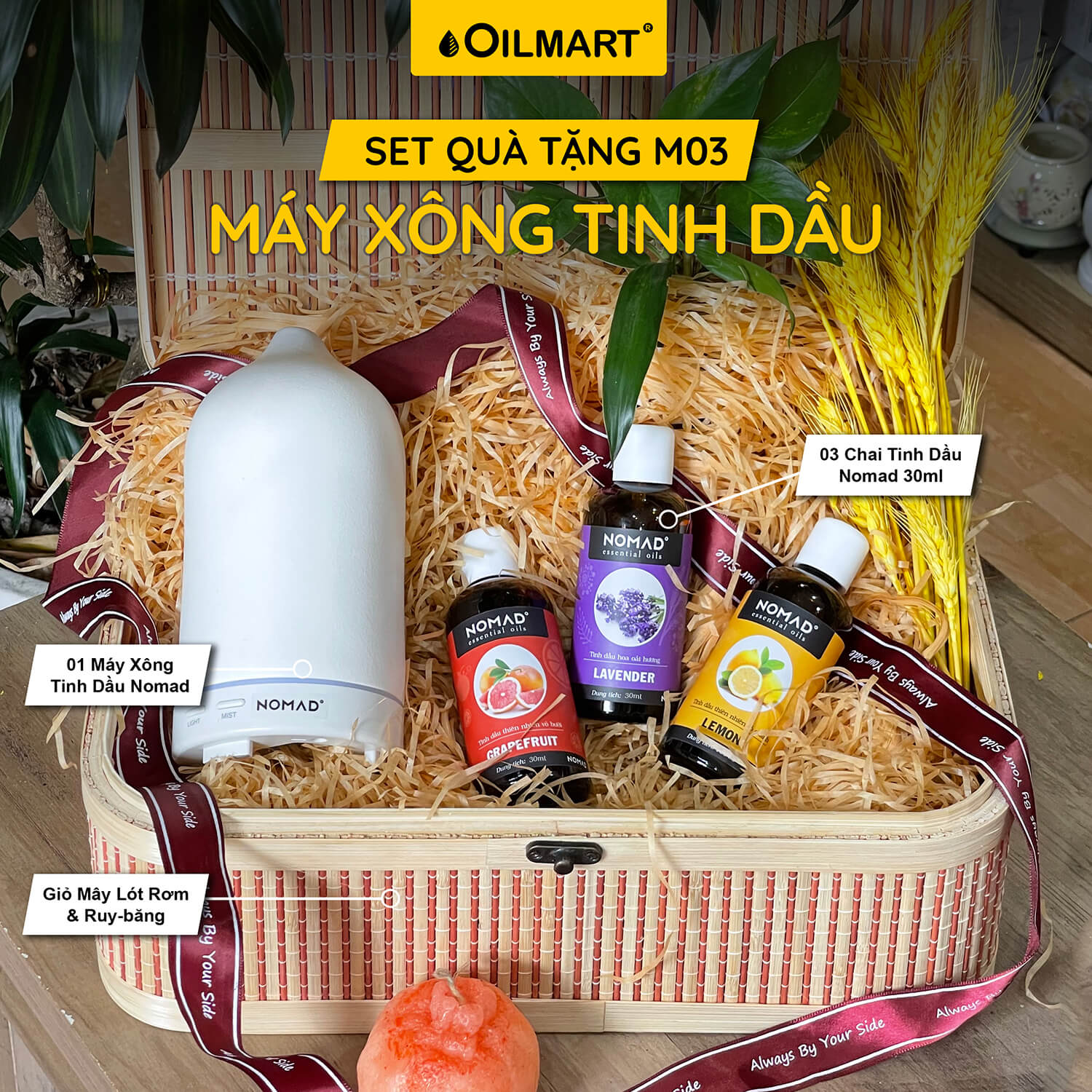 Set Quà Tặng Mừng Sinh Nhật, Khai Trương, Tân Gia, Giáng Sinh, Lễ Tình Nhân, Ngày Của Mẹ, Ngày Của Ba, Ngày Nhà Giáo, 8/3, 20/10