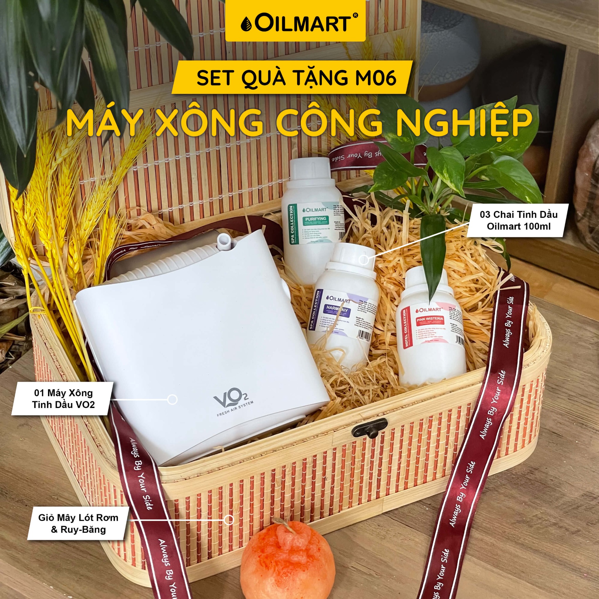 Set Quà Tặng Mừng Sinh Nhật, Khai Trương, Tân Gia, Giáng Sinh, Lễ Tình Nhân, Ngày Của Mẹ, Ngày Của Ba, Ngày Nhà Giáo, 8/3, 20/10