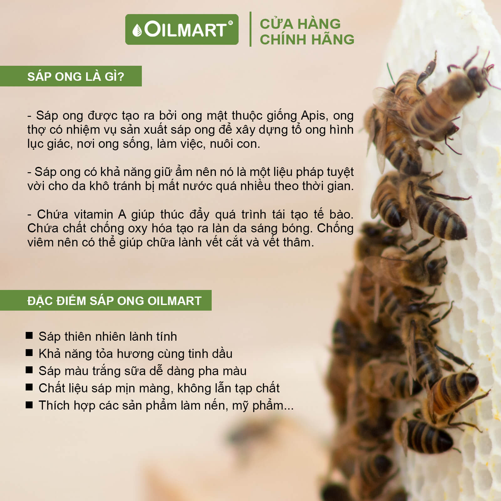 Sáp Ong Làm Nến Thơm Oilmart Natural Beeswax dạng viên, màu trắng ngà, không mùi, 100% thiên nhiên