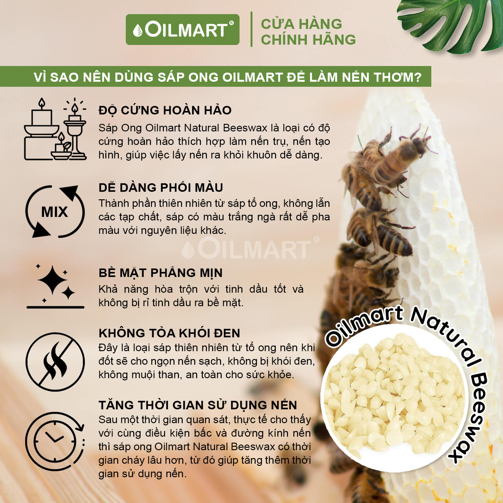 Sáp Ong Làm Nến Thơm Oilmart Natural Beeswax dạng viên, màu trắng ngà, không mùi, 100% thiên nhiên