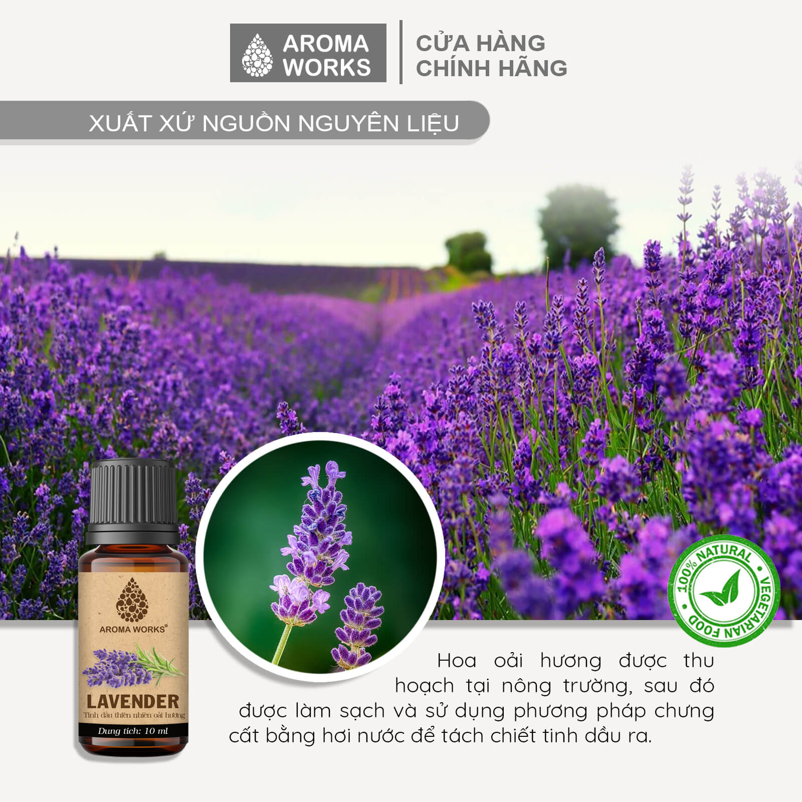 Tinh Dầu Oải Hương Xông Phòng, Thư Giãn, Dễ Ngủ, Đuổi Muỗi Aroma Works Lavender