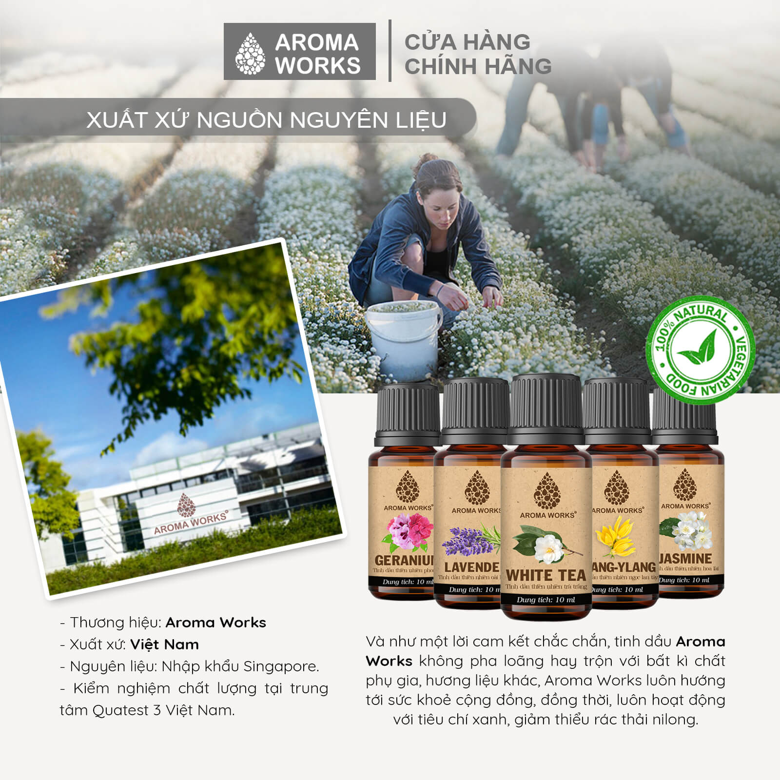 Tinh Dầu Thơm Phòng Aroma Works Hoa Oải Hương - Hoa Lài - Phong Lữ - Trà Trắng - Ylang Làm Nến Thơm