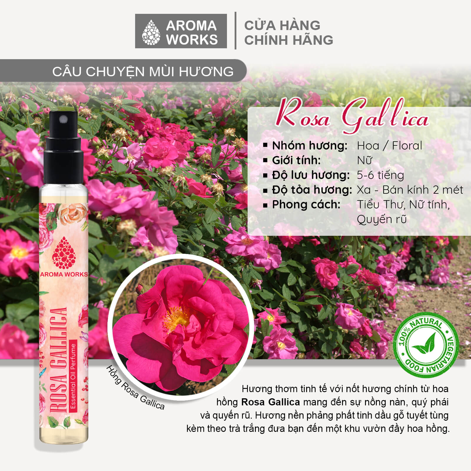 Tinh dầu nước hoa không cồn, lưu hương lâu Aroma Works Rosa Gallica Essential Oil Perfume 10ml