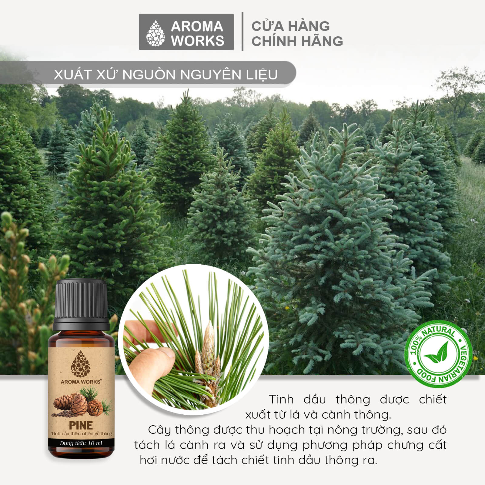 Tinh Dầu Thông Thiên Nhiên Xông Phòng, Khử Mùi, Thanh Lọc Không Khí, Giảm Căng Thẳng Aroma Works Pine