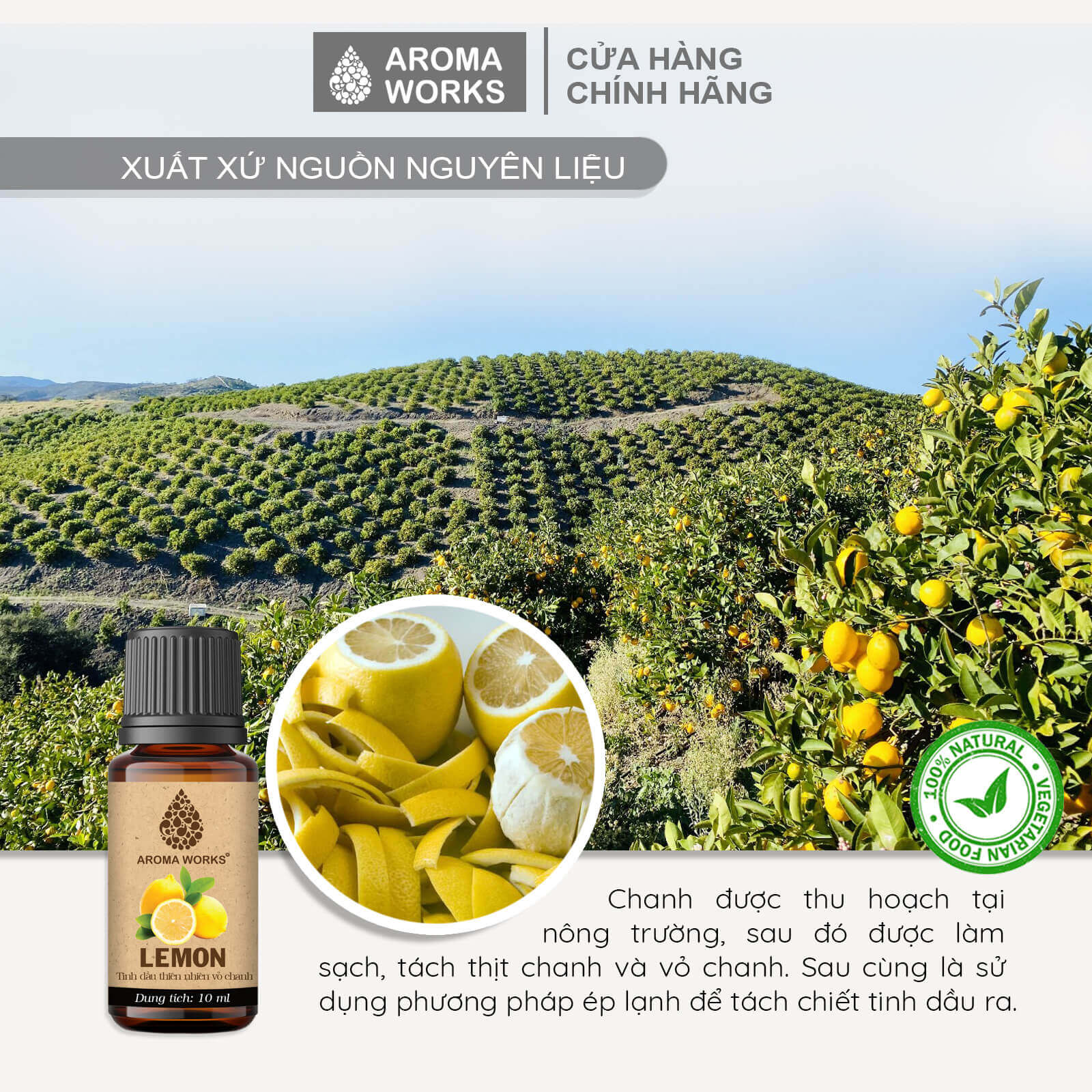 Tinh Dầu Chanh Thiên Nhiên Thơm Phòng, Khử Mùi, Đuổi Muỗi, Giải Cảm Aroma Works Essential Oils Lemon