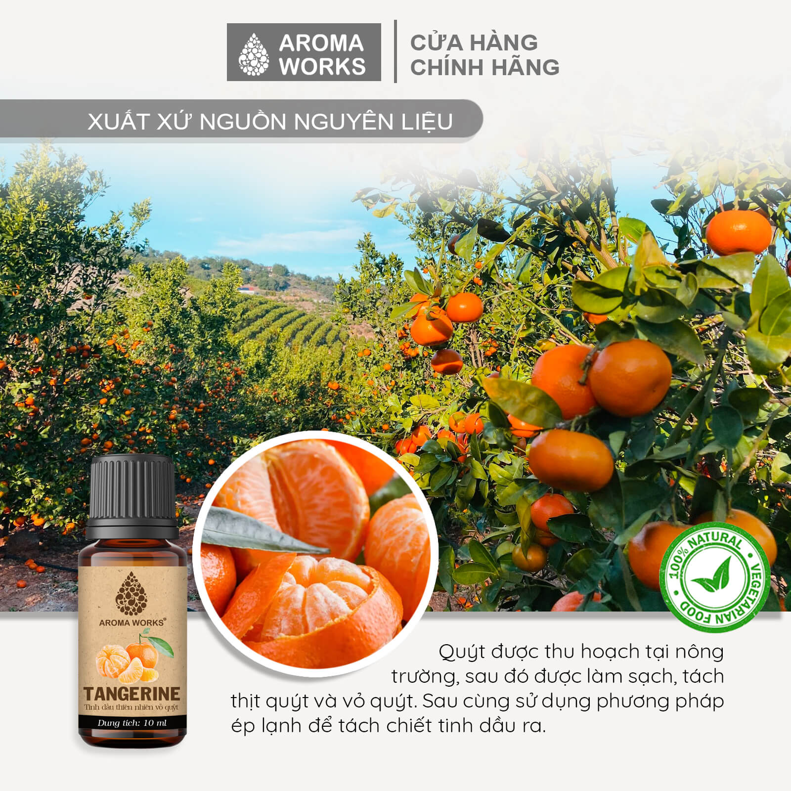 Tinh Dầu Quýt Thiên Nhiên Thơm Phòng, Khử Mùi, Giải Cảm Aroma Works Tangerine