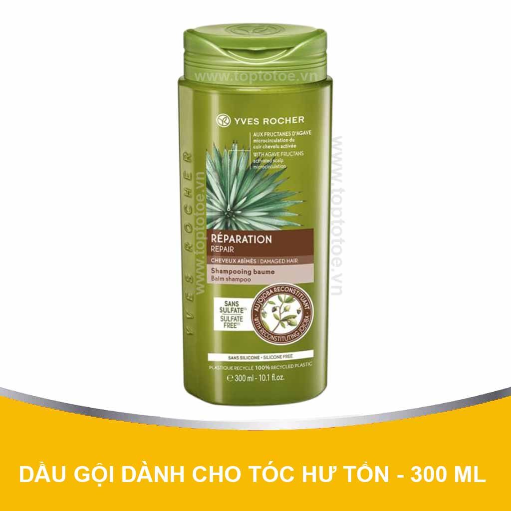 Dầu Gội Phục Hồi Tóc Hư Tổn Repair Hair Care Restoring Shampoo Sulfate Free Bottle 300ml