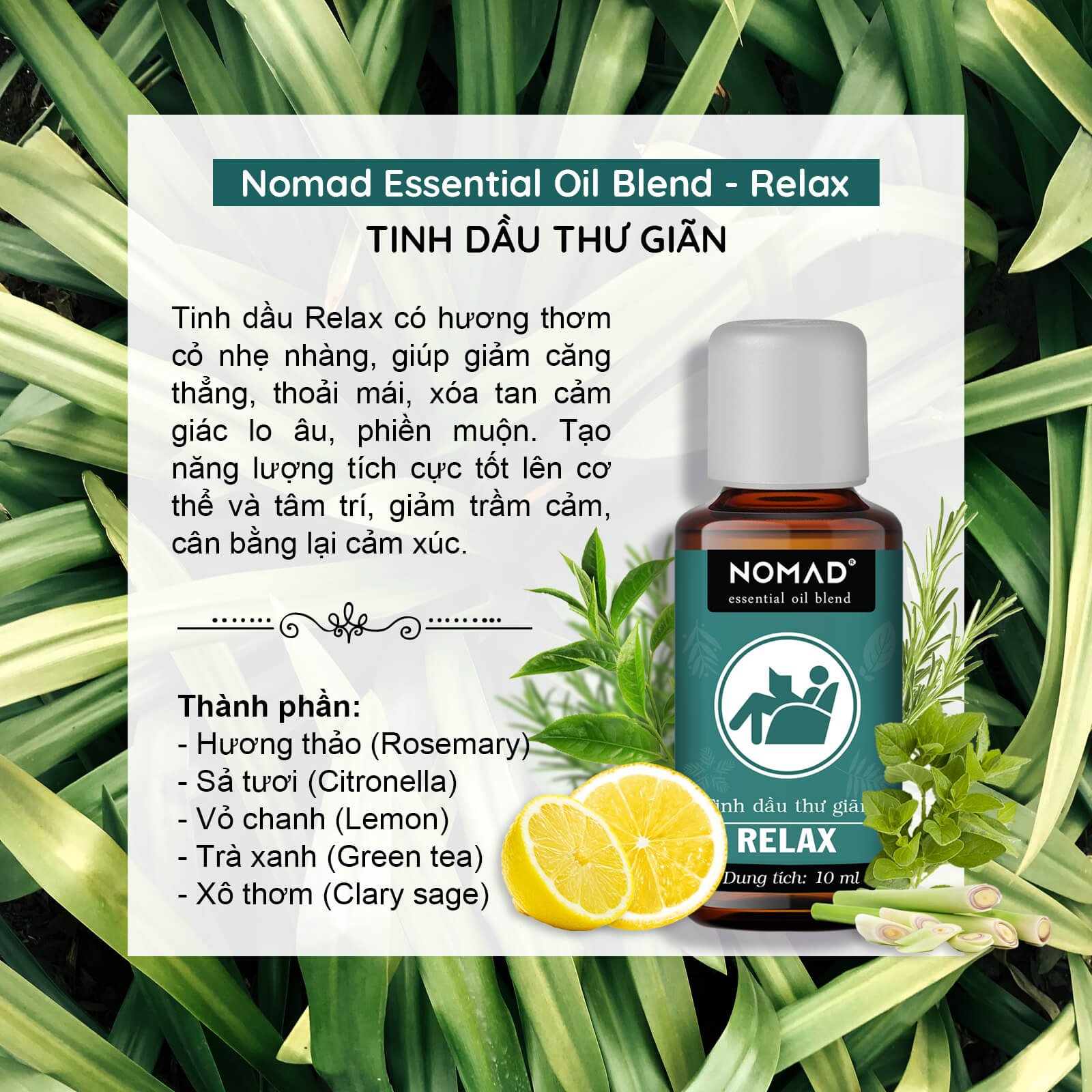 Tinh Dầu Xông Phòng Thư Giãn Tổng Hợp Từ Sả Chanh, Vỏ Chanh Và Xô Thơm Nomad Essential Oil Blend - Relax