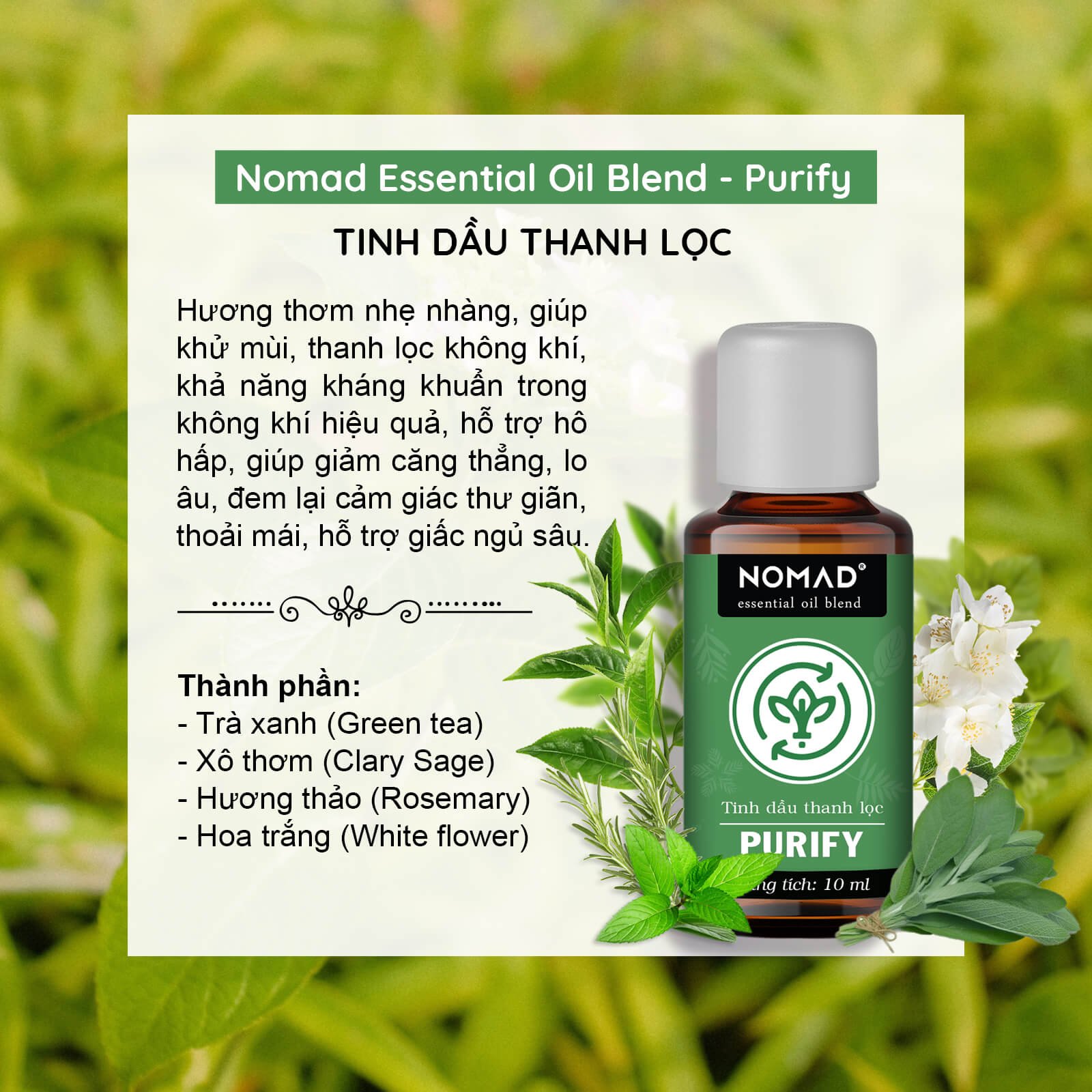 Tinh dầu Thanh lọc Nomad thanh lọc không khí, giảm căng thẳng - Purify