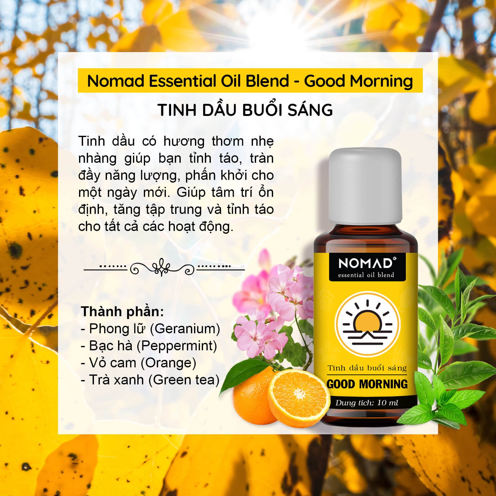 Tinh Dầu Thiên Nhiên Giúp Tỉnh Táo Và Thư Giãn Buổi Sáng Nomad Essential Oil Blend - Good Morning