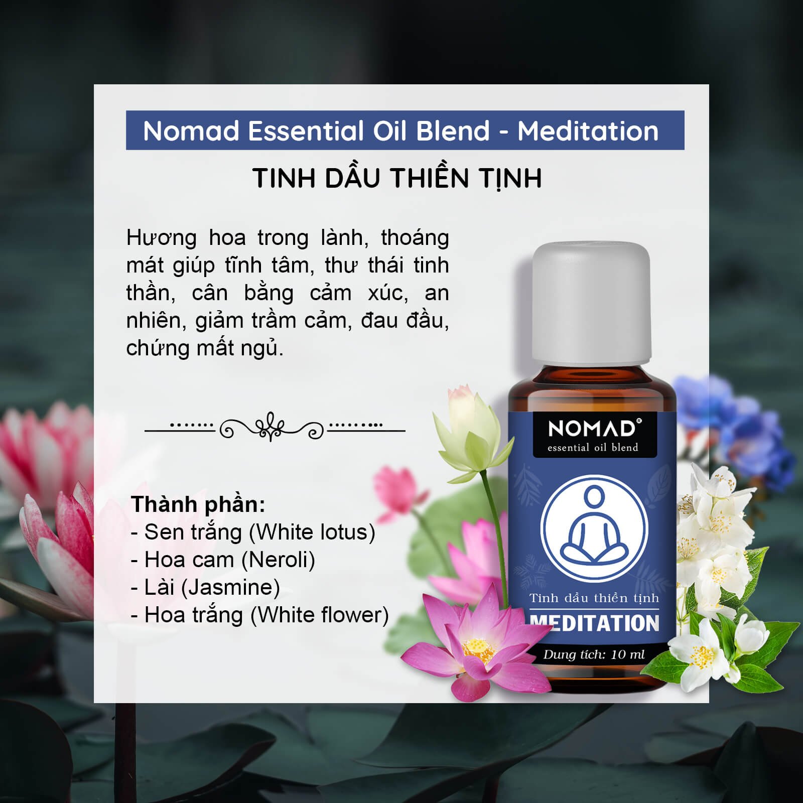 Tinh dầu thiên nhiên Nomad giúp thư giãn, tĩnh tâm, phù hợp không gian Thiền tịnh Nomad Essential Oil Blend - Meditation