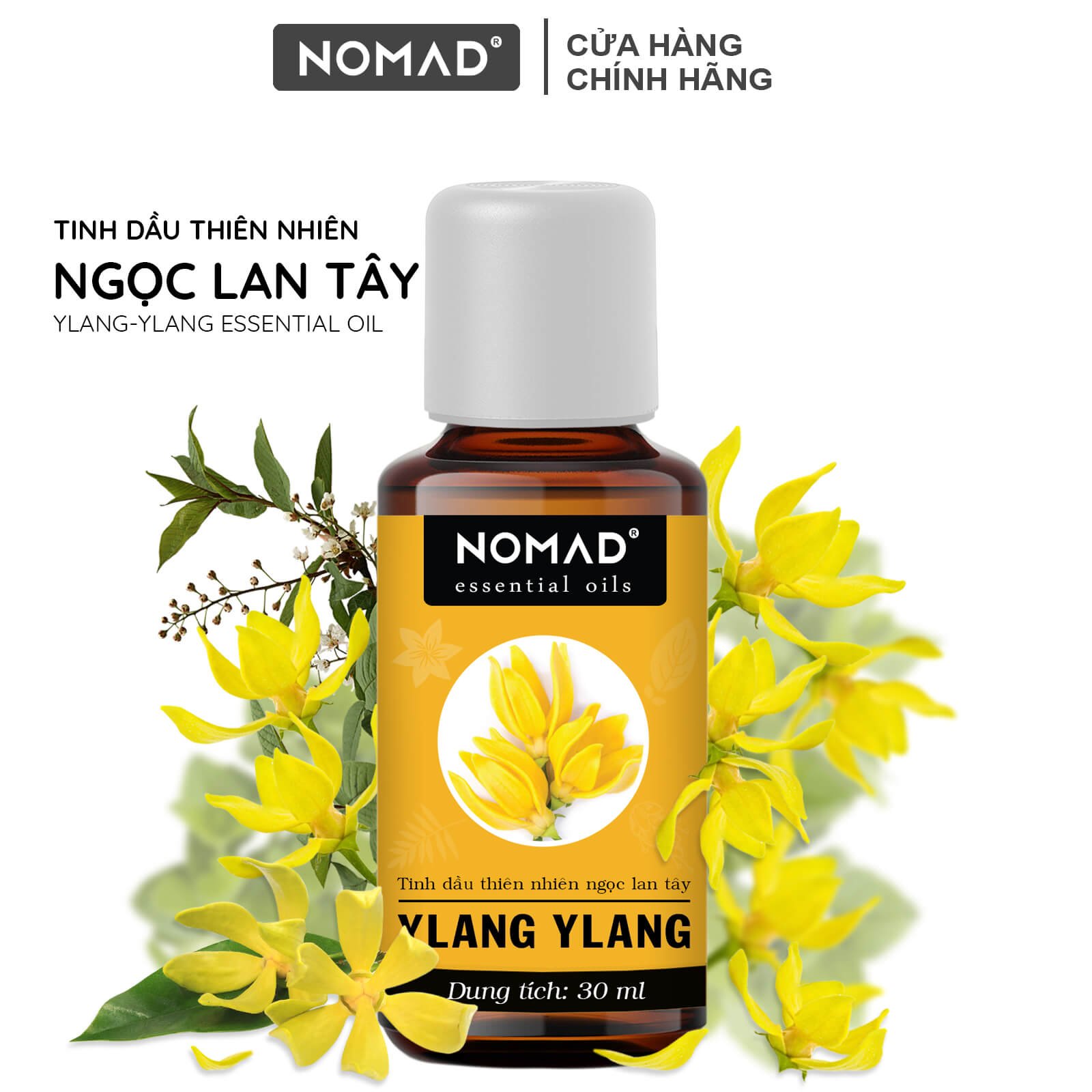 tinh-dau-ngoc-lan-tay-xong-phong-khu-mui-thanh-loc-khong-khi-tang-cam-xuc-thang-hoa-nomad-ylang-ylang