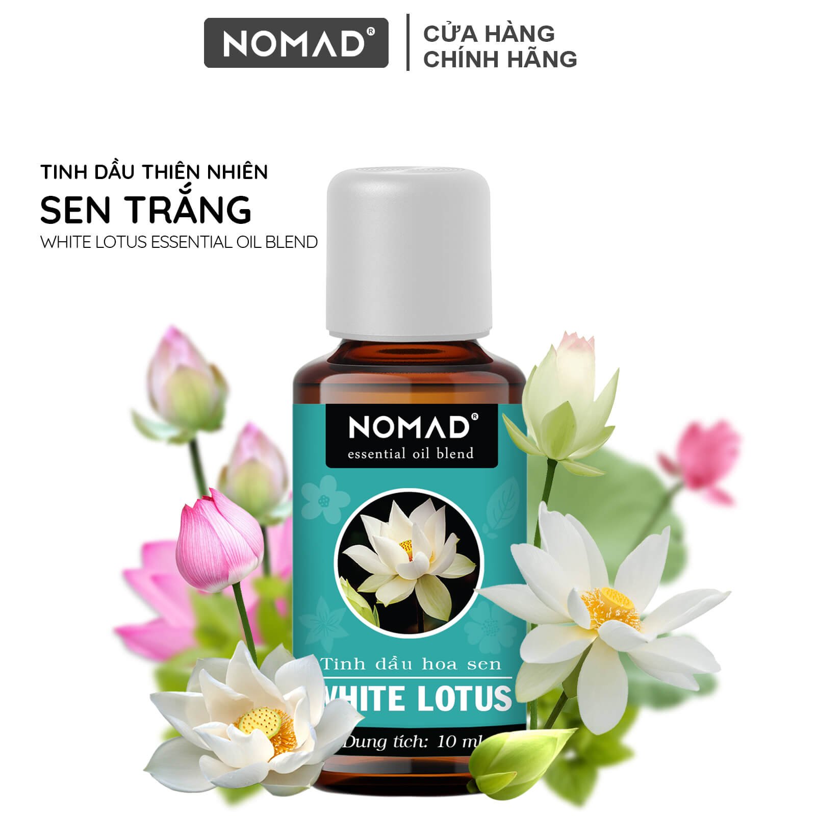 Tinh Dầu Thiên Nhiên Nguyên Chất 100% Sen Trắng Nomad Essential Oil White Lotus