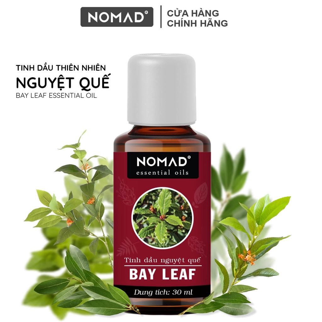 tinh-dau-thien-nhien-nguyet-que-nomad-bay-leaf-essential-oil