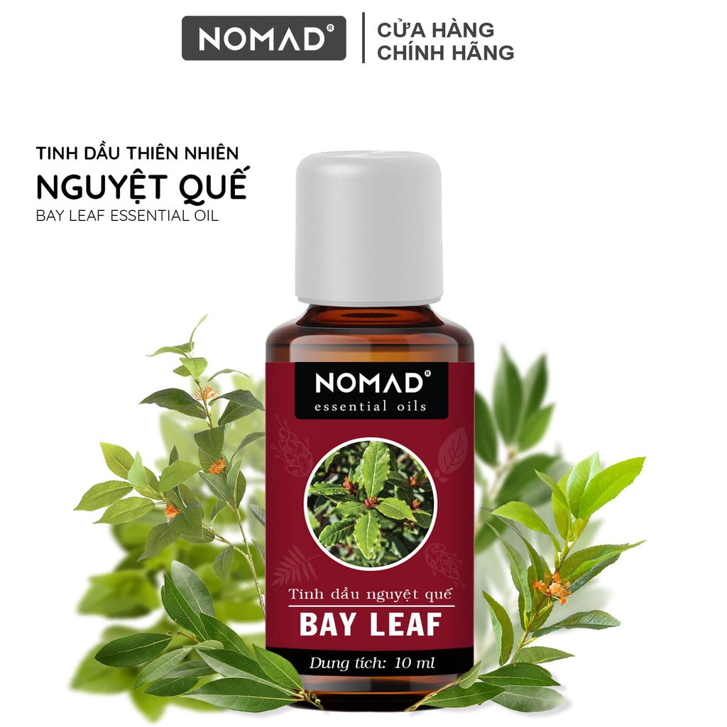 Tinh Dầu Thiên Nhiên Nguyệt Quế Nomad Bay Leaf Essential Oil