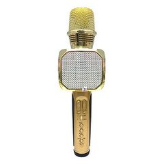 Mic Hát Karaoke SD-10