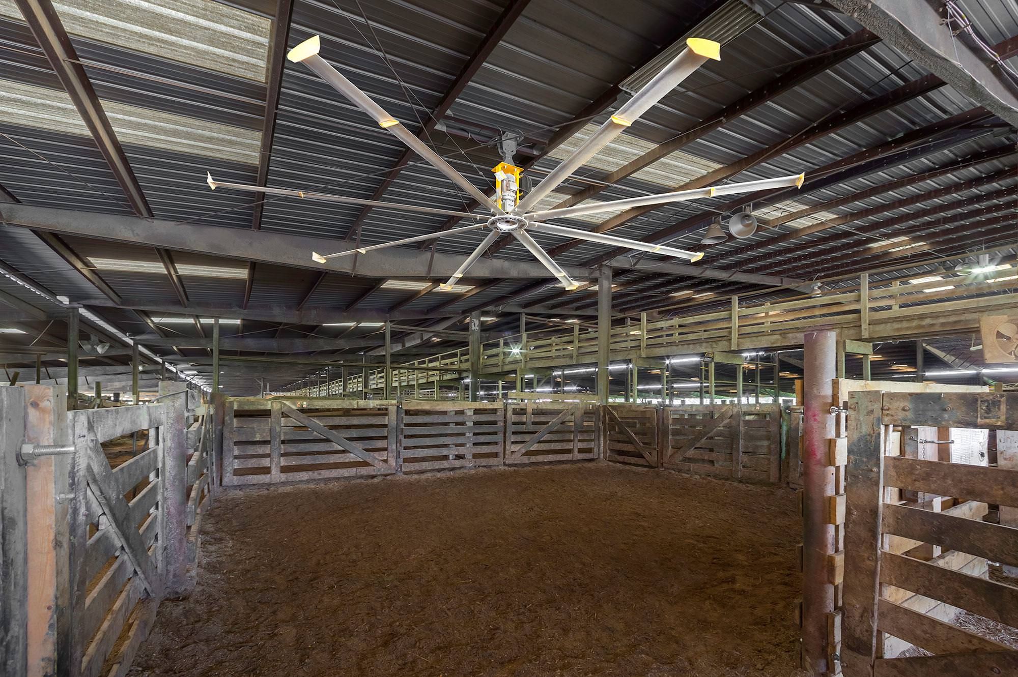 QUẠT TRẦN CÔNG NGHIỆP HVLS BIG ASS FANS POWERFOIL 8 PF8-14