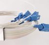 Bộ chia quang PLC 1x8 SC/UPC phi 0.9mm dài 1M