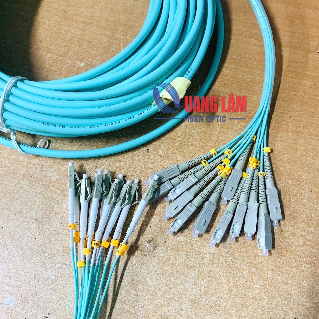 Dây Nhảy Quang Multimode OM3 Dạng Bó 12FO SC/PC-LC/PC Fanout Phi 2.0mm