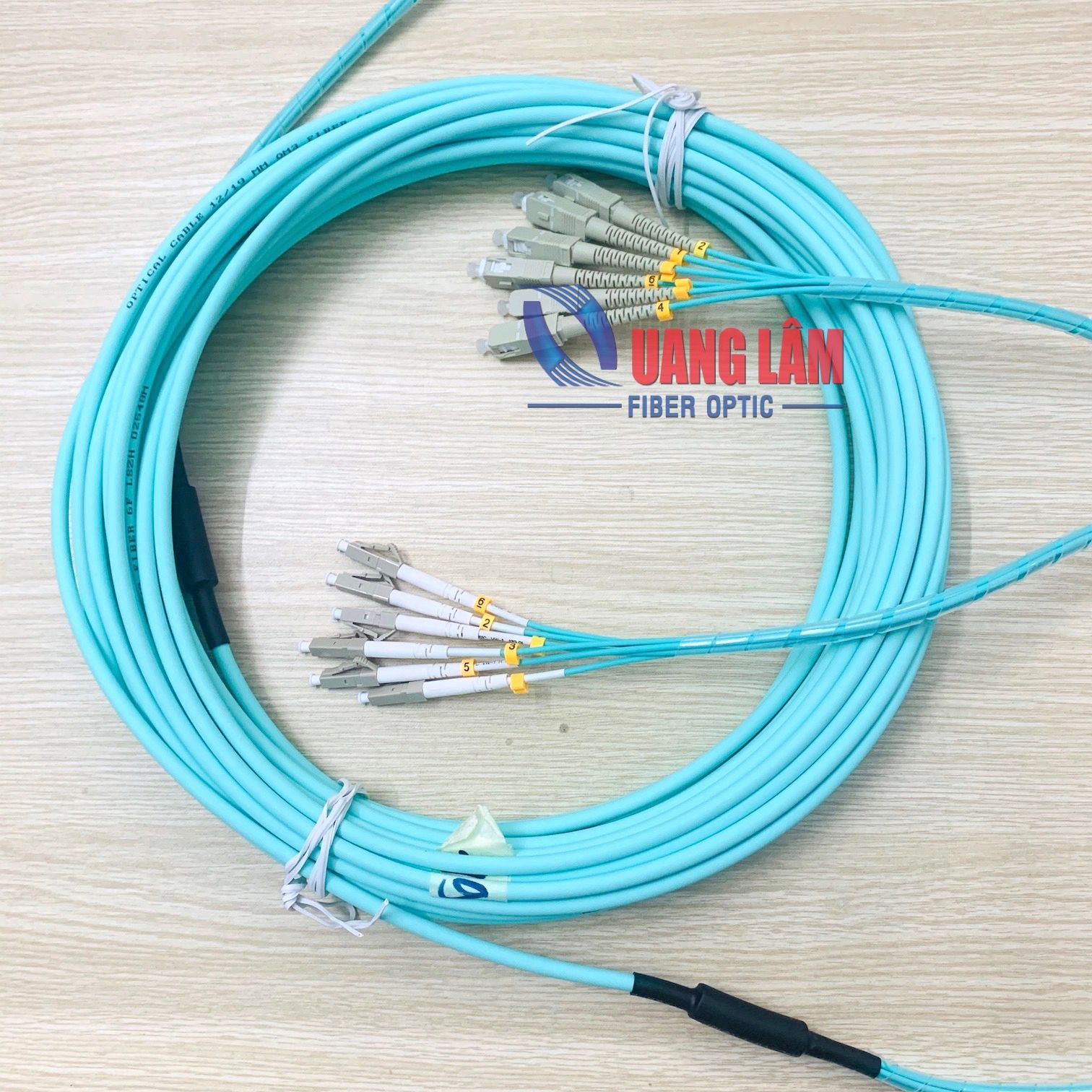 Dây Nhảy Quang Multimode OM3 Dạng Bó 06FO SC/PC-LC/PC Fanout Phi 2.0mm