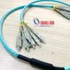 Dây Nhảy Quang Multimode OM3 Dạng Bó 06FO SC/PC-SC/PC Fanout Phi 2.0mm