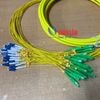 Dây Nhảy Quang Singlemode Dạng Bó 24FO SC/APC-LC/UPC Fanout Phi 2.0mm