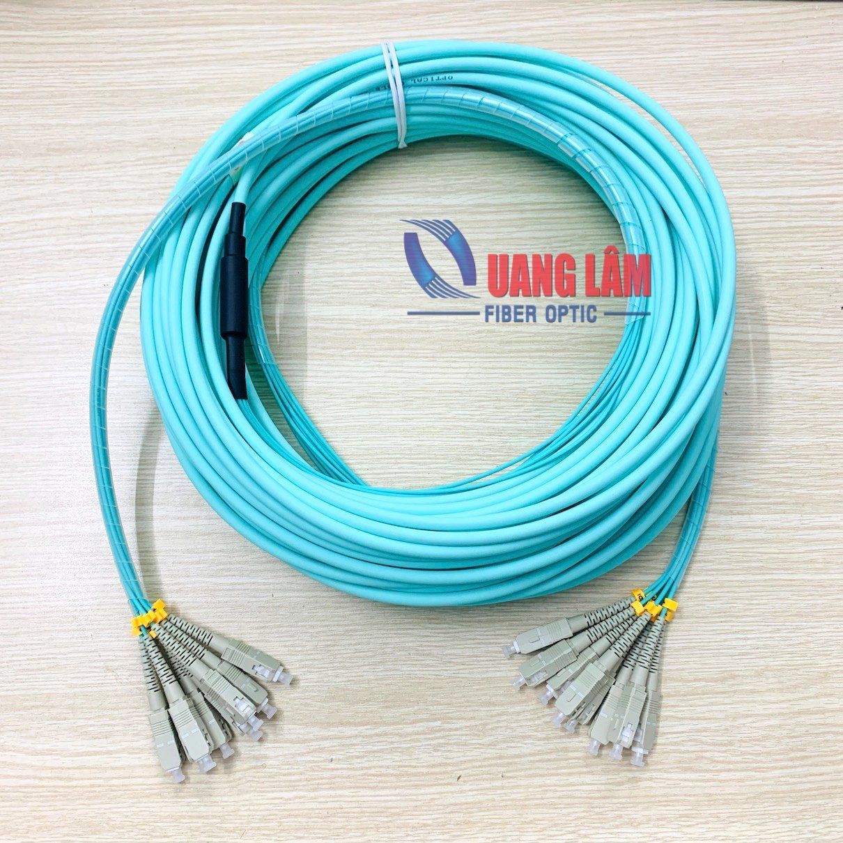 Dây Nhảy Quang Multimode OM3 Dạng Bó 08FO SC/PC-SC/PC Fanout Phi 2.0mm