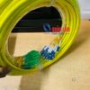 Dây Nhảy Quang Singlemode Dạng Bó 24FO SC/APC-LC/UPC Fanout Phi 2.0mm