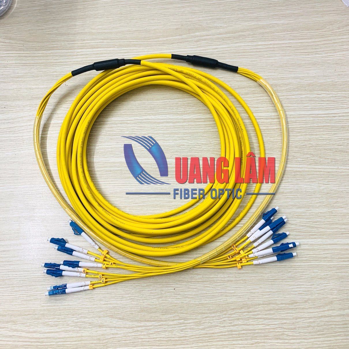 Dây Nhảy Quang Singlemode Dạng Bó 08FO LC/UPC-LC/UPC Fanout Phi 2.0mm