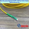 Dây nhảy quang singlemode SC/APC-LC/APC, Simplex, Phi 3.0mm