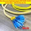 Dây Nhảy Quang Singlemode Dạng Bó 20FO SC/UPC-SC/UPC Fanout Phi 2.0mm