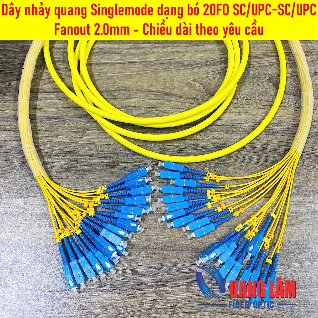 Dây Nhảy Quang Singlemode Dạng Bó 20FO SC/UPC-SC/UPC Fanout Phi 2.0mm