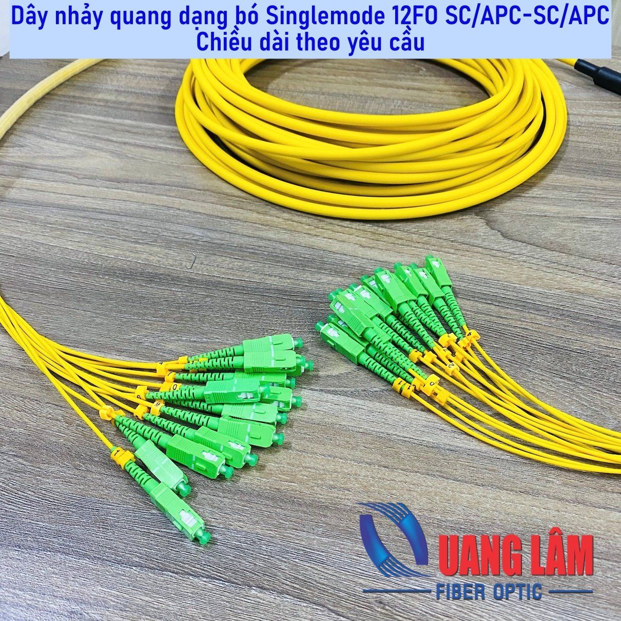 Dây Nhảy Quang Singlemode Dạng Bó 12FO SC/APC-SC/APC Fanout Phi 2.0mm - Chiều dài theo yêu cầu