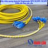 Dây Nhảy Quang Singlemode Dạng Bó 12FO SC/UPC-SC/UPC Fanout Phi 2.0mm