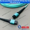 Dây nhảy quang Multimode OM3/OM4 MPO-MPO Male-Male 12FO Chiều dài theo yêu cầu