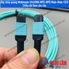 Dây nhảy quang Multimode OM3/OM4 MPO-MPO Male-Male 12FO Chiều dài theo yêu cầu