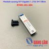 Module quang SFP Gigabit Single Mode 1.25G-10km-1310nm-ESFP RTXM 191-400