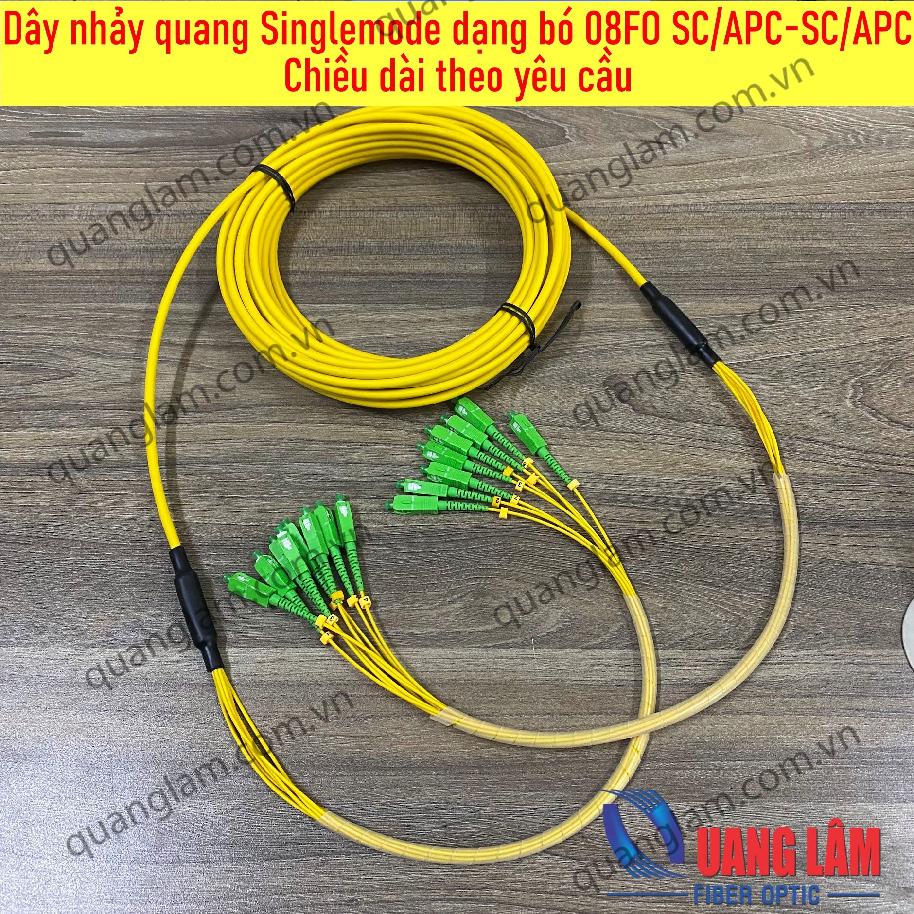 Dây nhảy quang Singlemode dạng bó 08FO SC/APC-SC/APC Fanout phi 2.0mm - Chiều dài theo yêu cầu