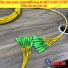 Dây nhảy quang Singlemode dạng bó 08FO SC/APC-SC/APC Fanout phi 2.0mm - Chiều dài theo yêu cầu