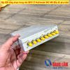 Hộp ODF bằng nhựa trong nhà 08FO ST Multimode OM2 MM (Đầy đủ phụ kiện)