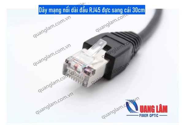 Dây mạng nối dài đầu RJ45 đực sang cái 30cm – Công ty TNHH Công Nghệ ...