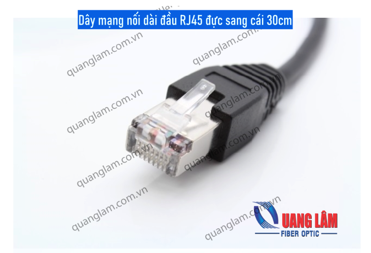 Dây mạng nối dài đầu RJ45 đực sang cái 30cm – Công ty TNHH Công Nghệ ...