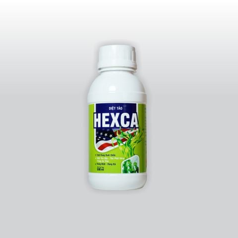  HEXCA - Chai 500ml (TT-TAO12) 