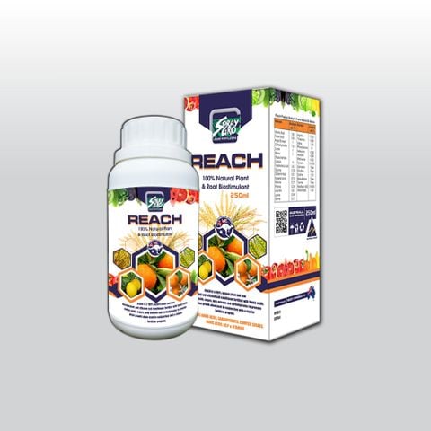  REACH - Chai 250ml (NND-NKR02) 