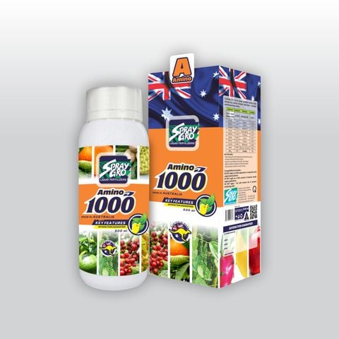  AMINO 1000 - Chai 500ml - NND-NKA01 